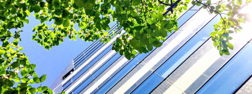 株式会社エルドランド